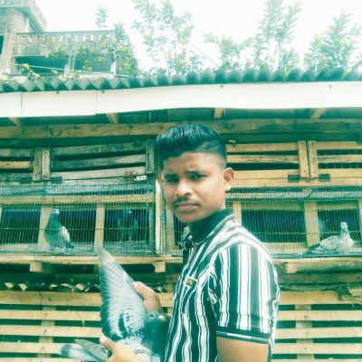 Amit