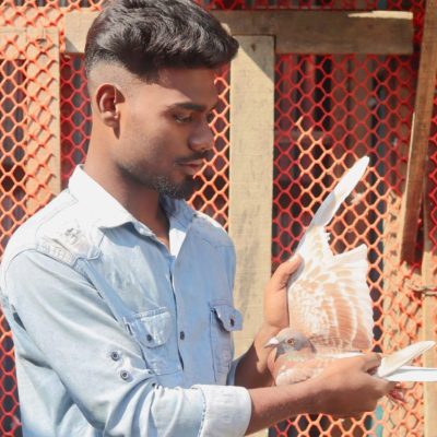 Md Saiful Islam